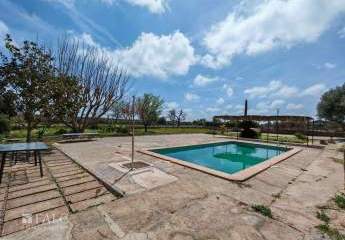 415530-Vorschaubild2