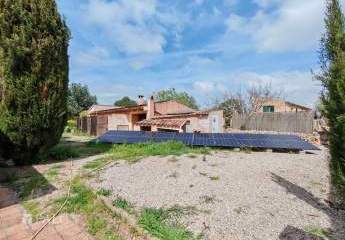 415530-Vorschaubild3