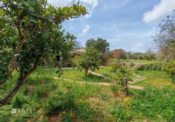 415530-Vorschaubild4