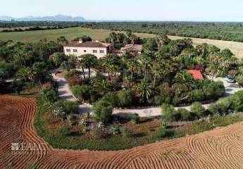 431603-Vorschaubild3