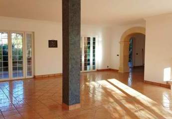 431603-Vorschaubild4