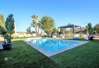 423541-Vorschaubild3