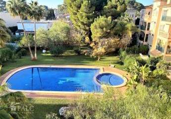 403834-Vorschaubild2