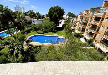 403834-Vorschaubild3