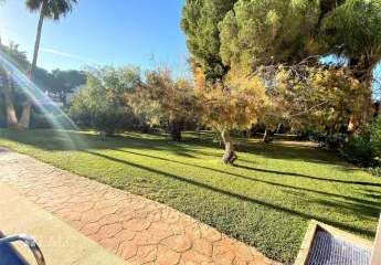 403834-Vorschaubild4