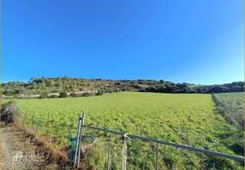 409131-Vorschaubild3