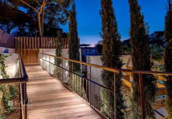 460493-Vorschaubild3