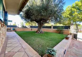 418642-Vorschaubild4