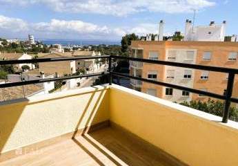 420639-Vorschaubild4