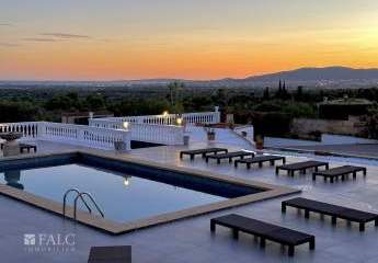 405825-Vorschaubild3