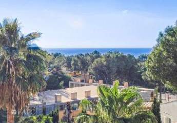 399275-Vorschaubild3