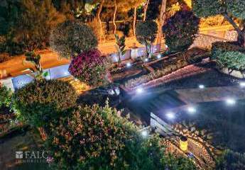 401674-Vorschaubild4