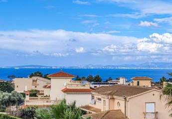 402494-Vorschaubild3