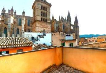 409096-Vorschaubild2