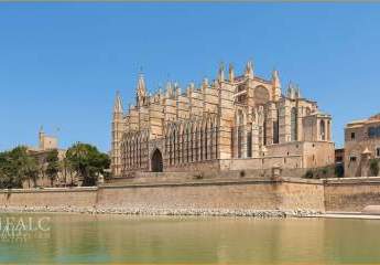 409096-Vorschaubild4