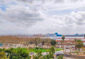 409955-Vorschaubild3