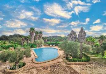 411515-Vorschaubild2