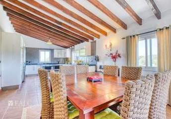 411638-Vorschaubild3