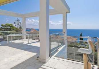 417972-Vorschaubild3