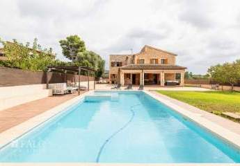 421213-Vorschaubild3