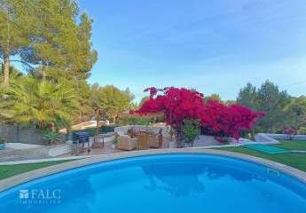 420025-Vorschaubild4