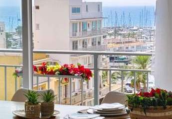 425953-Vorschaubild2