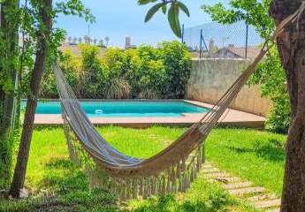 431329-Vorschaubild2