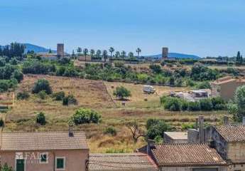 431329-Vorschaubild3