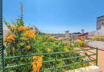 431329-Vorschaubild4