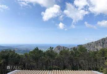 433261-Vorschaubild4