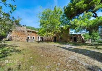 440261-Vorschaubild2