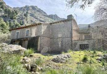 440261-Vorschaubild3