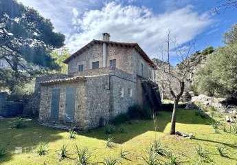 440261-Vorschaubild4