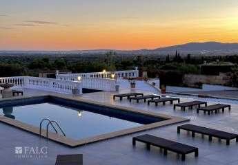 444164-Vorschaubild3