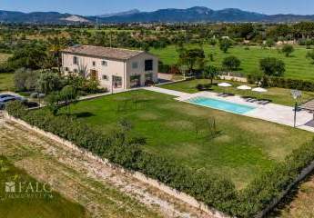 460658-Vorschaubild2