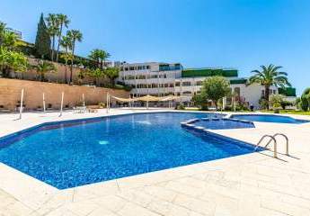 460666-Vorschaubild3