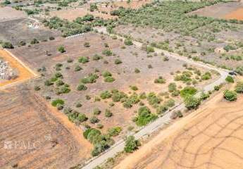 460669-Vorschaubild2