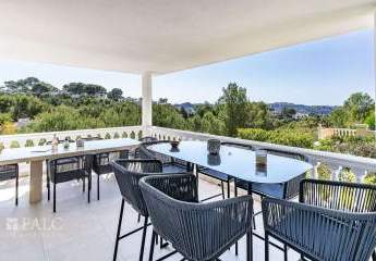 460732-Vorschaubild4