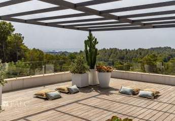 460739-Vorschaubild4