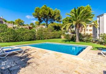 460763-Vorschaubild3