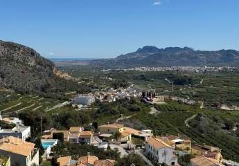 424136-Vorschaubild4