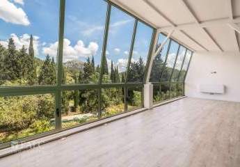 422277-Vorschaubild4