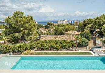 450242-Vorschaubild2