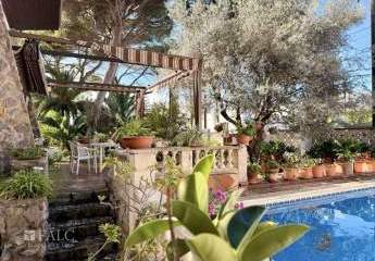 456522-Vorschaubild2