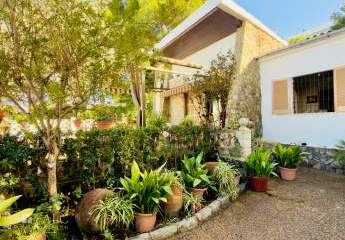 456522-Vorschaubild3