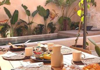 462165-Vorschaubild3