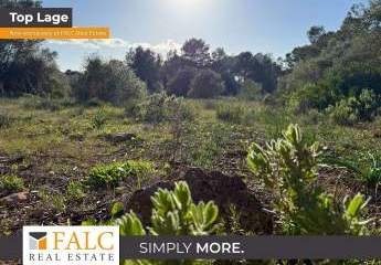 Großzügiges Grundstück in Algaida