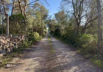 462184-Vorschaubild2