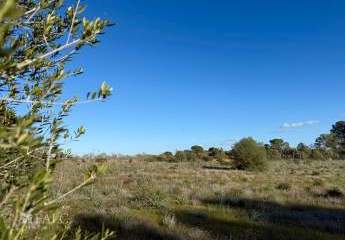 462184-Vorschaubild3