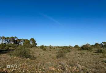 462184-Vorschaubild4